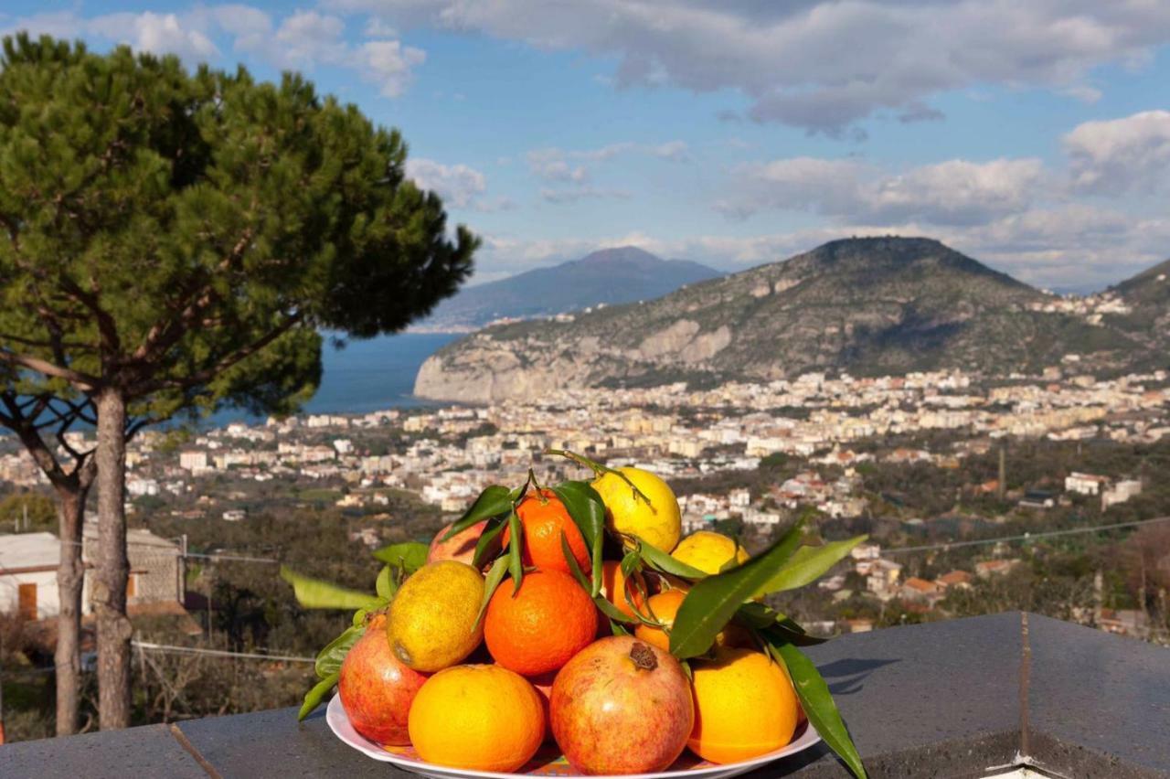Appartamento Villa degli Ulivi Sant'Agnello Esterno foto
